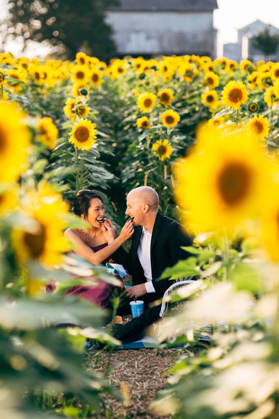 Image of Malisa + Mat | Sunflower Field Engagement | Washington DC Wedding Photography Malisa + Mat | Sunflower Field Engagement | Washington DC Wedding Photography