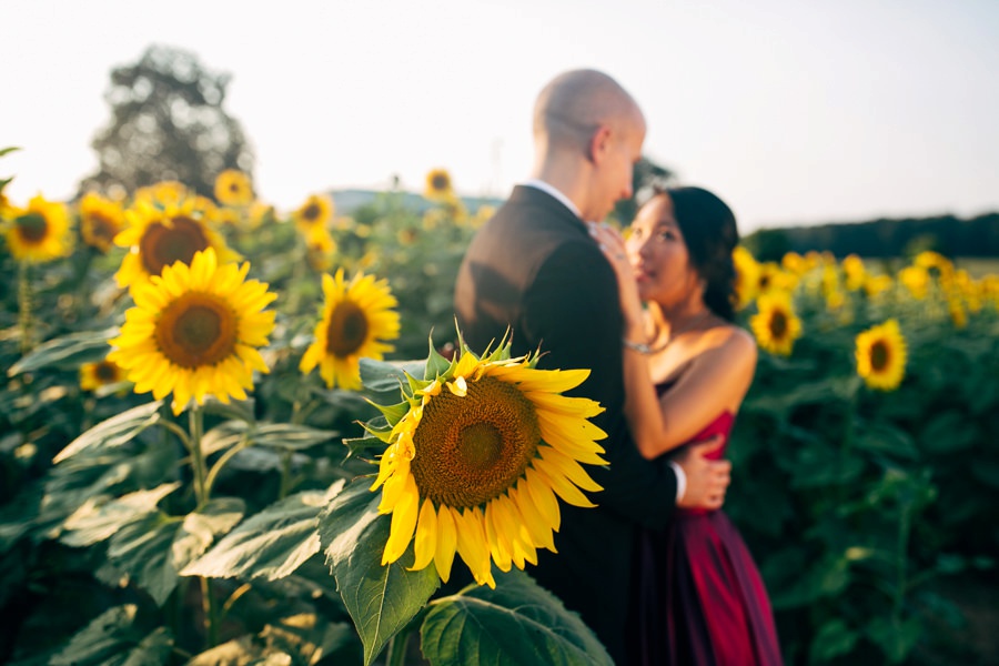 Image of Malisa + Mat | Sunflower Field Engagement | Washington DC Wedding Photography Malisa + Mat | Sunflower Field Engagement | Washington DC Wedding Photography
